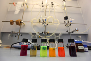 lab